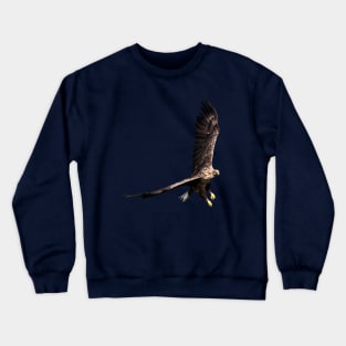White tailed Eagle Crewneck Sweatshirt